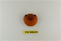 藏品(白紋方蟹)的圖片